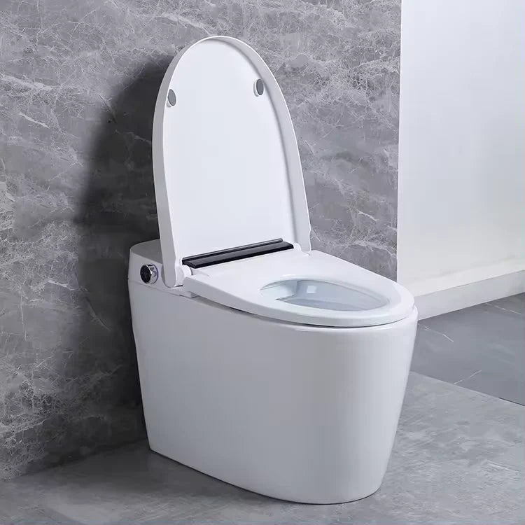 Shinpei Tank+ High-Tech All in One Japanese Style Smart Toilet & Bidet-Aman Plumbing &amp; Heating Supplier Limited