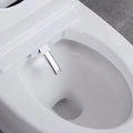 Shinpei Tank+ High-Tech All in One Japanese Style Smart Toilet & Bidet-Aman Plumbing & Heating Supplier Limited